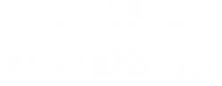 Porsche | Porsche Madness